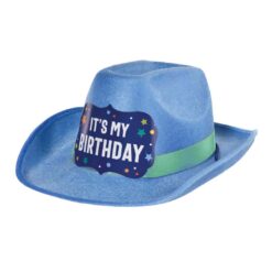 Its my birthday - Party Hat